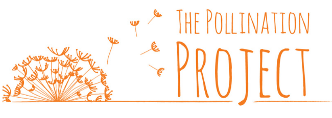 The Kit Bull Story featured Change Maker from the Pollination Project